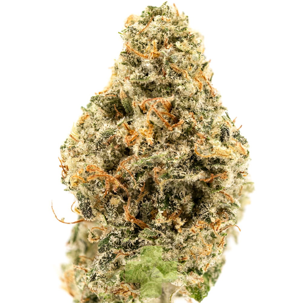UpNorth: Trainwreck