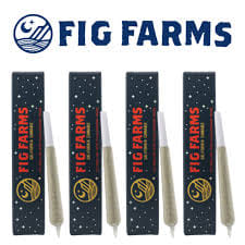 Fig Farms 1g Preroll - Fig Farms - International Orange (H) - $16 - Pre-Rolls
