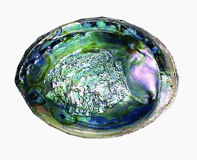 Abalone Shell Smudge Bowl -  - $21.99 - Maliboutique