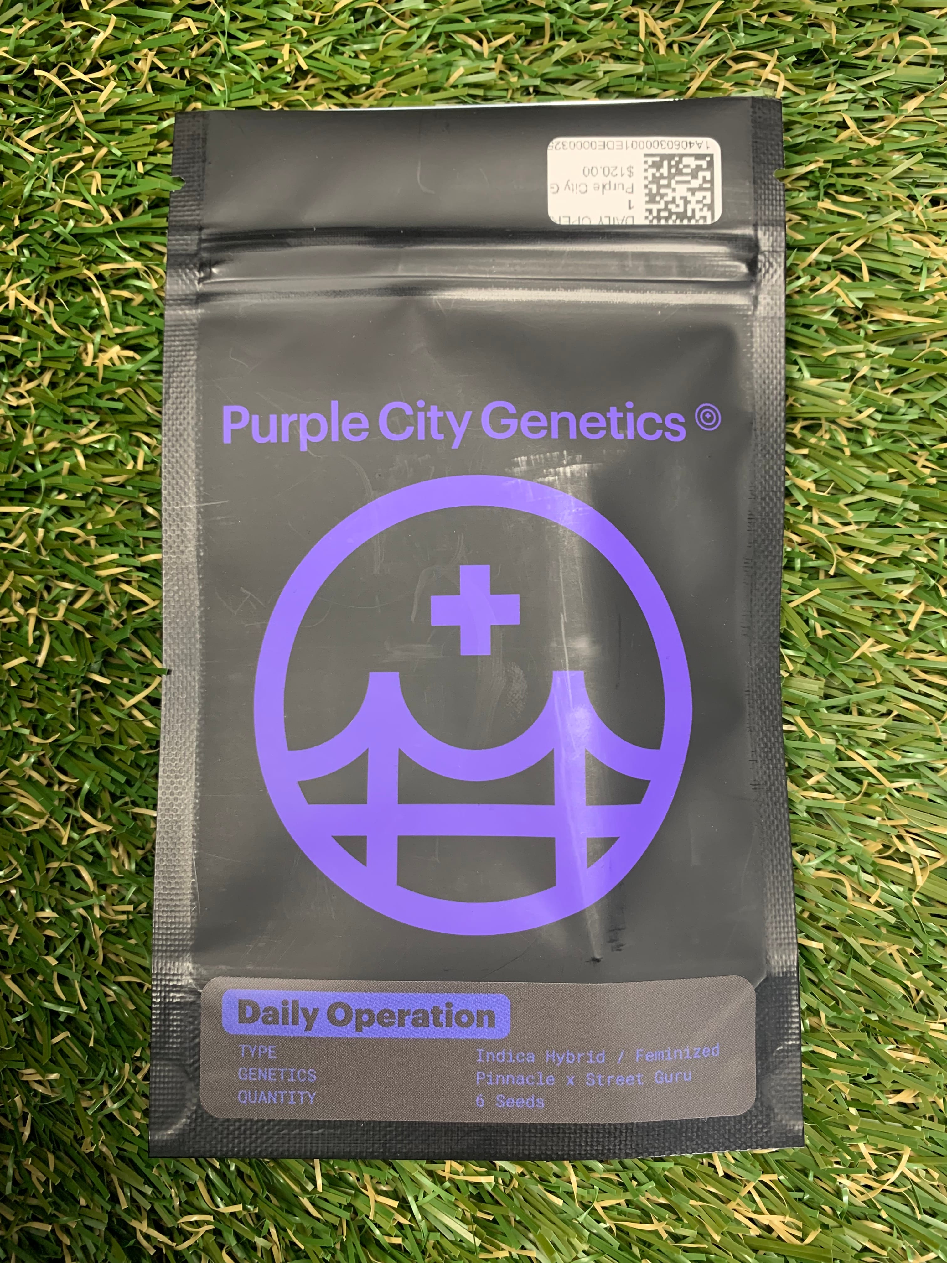 DAILY OPERATIONS 6PK FEMINIZED SEEDS - Purple City Genetics -  - $120 - Seeds (each)