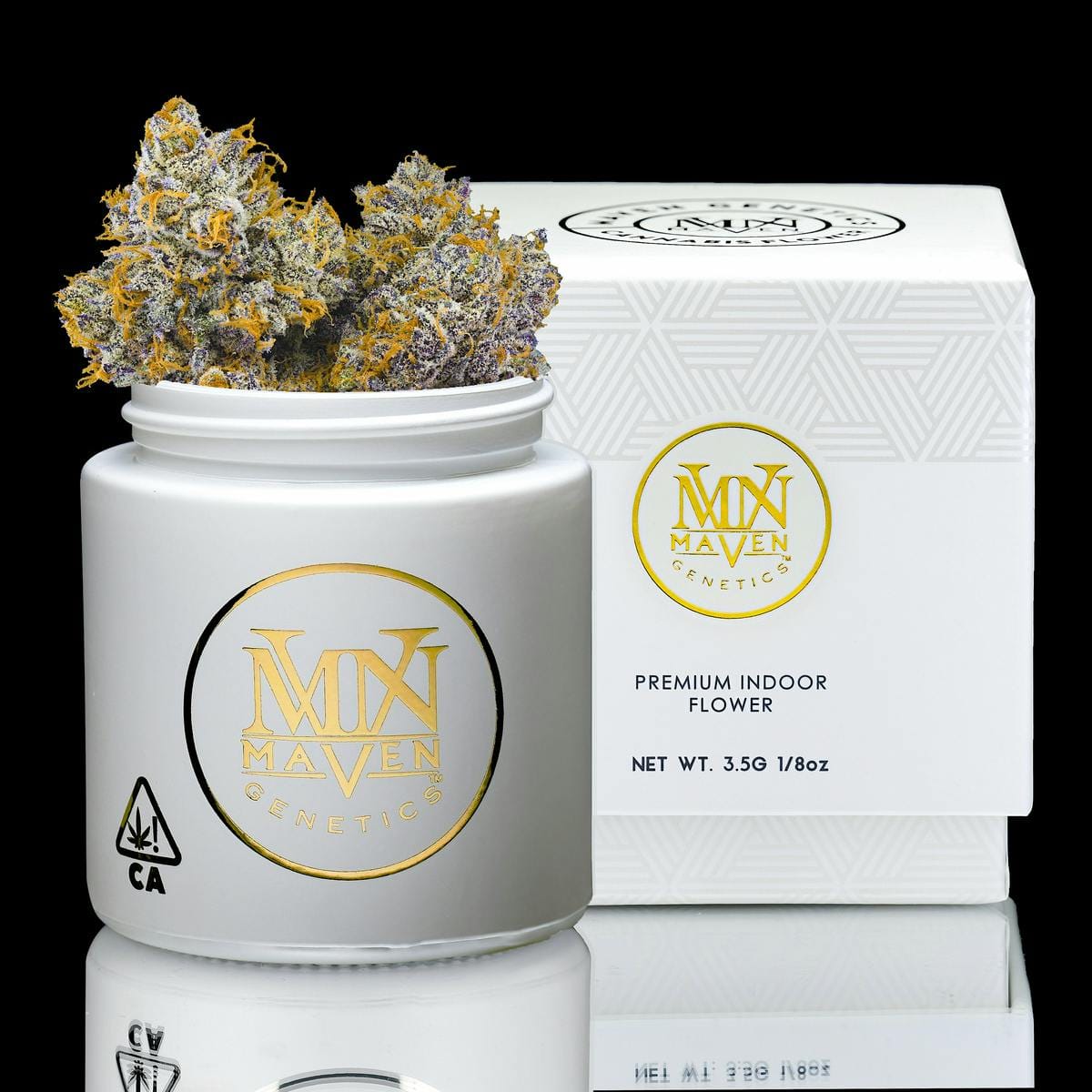 Maven Genetics: Orange Bellini