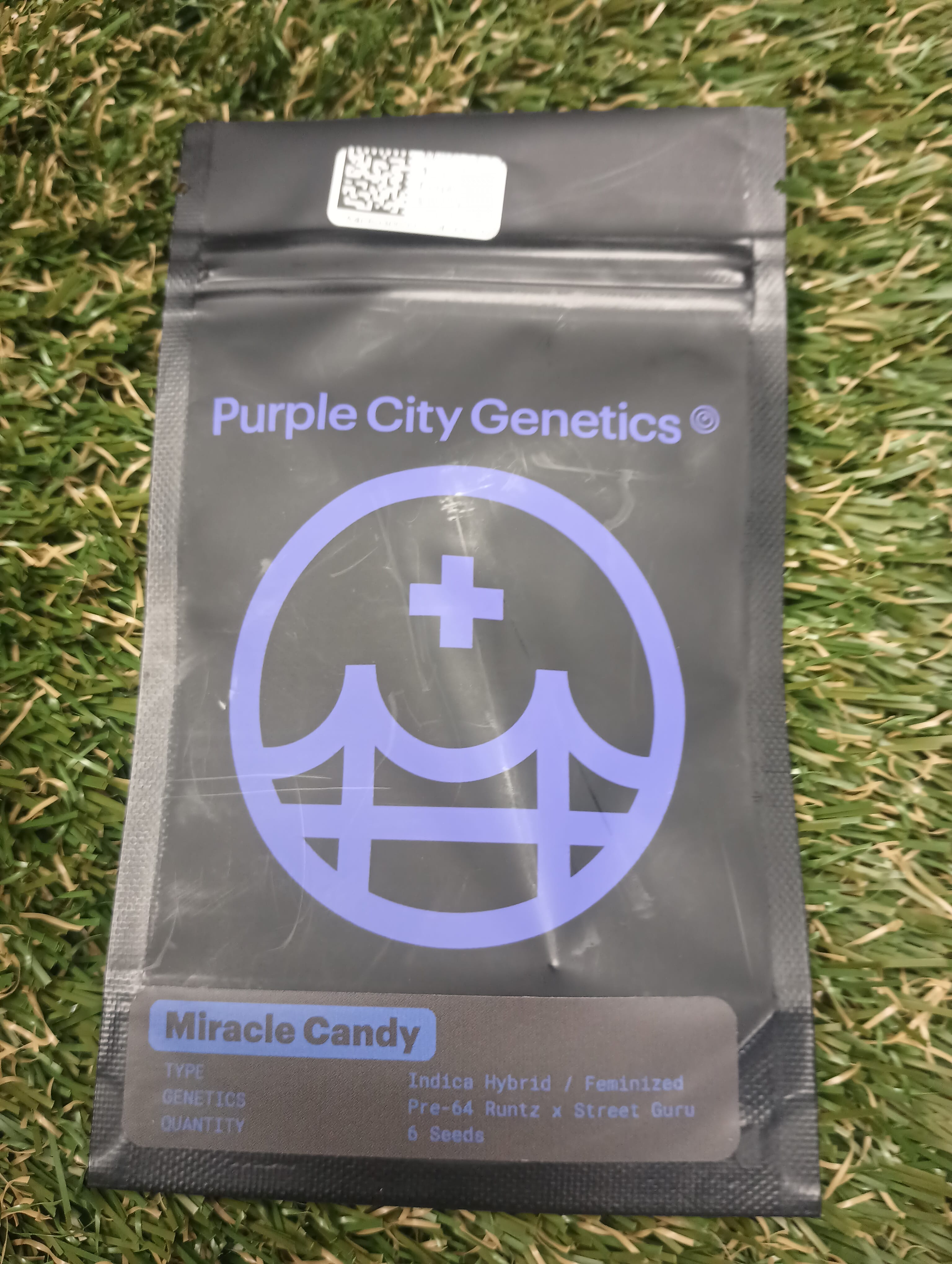 MIRACLE CANDY 6PK FEMINIZED SEEDS - Purple City Genetics -  - $120 - Seeds (each)