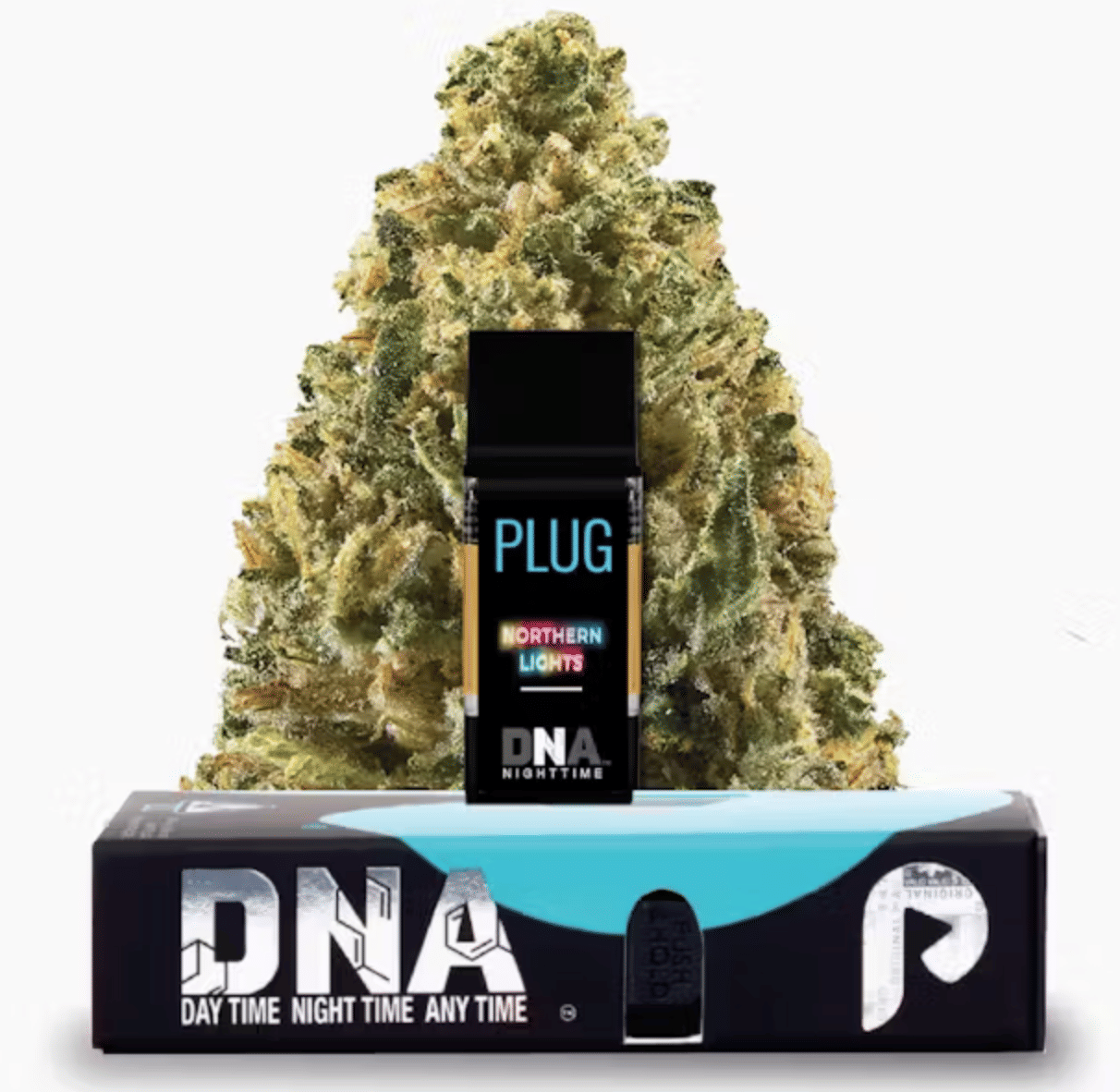 PlugPlay — Dna: Northern Lights