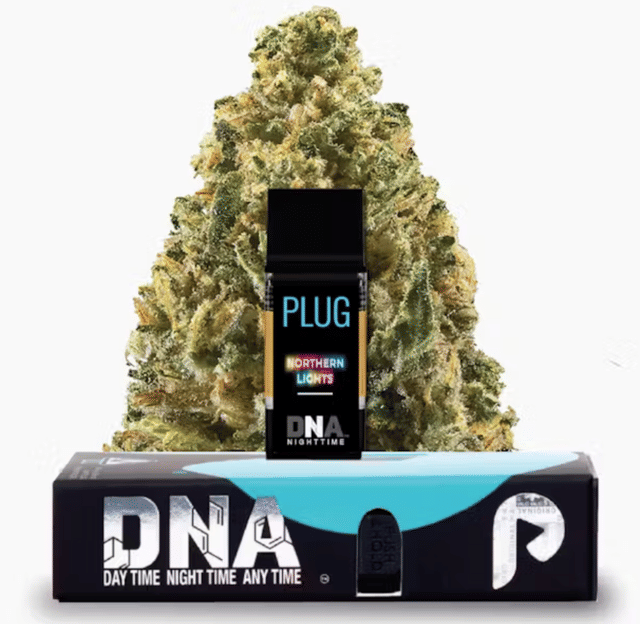 PlugPlay — Dna: Northern Lights