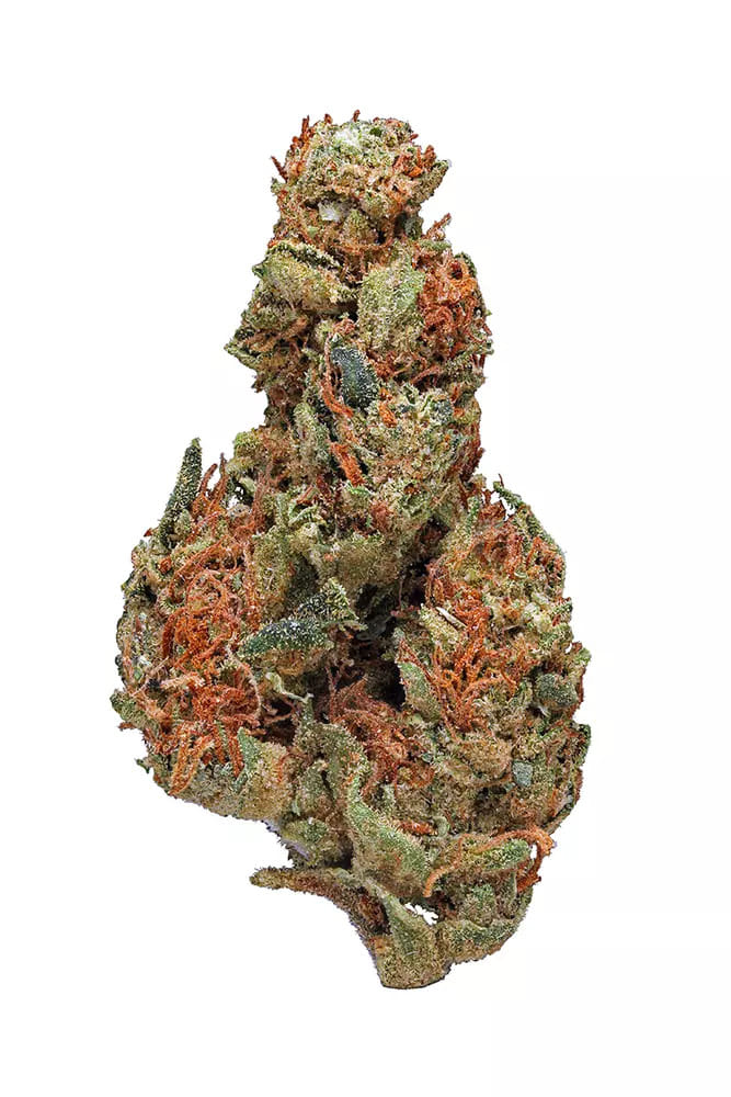Panama Red - UpNorth - Eighth - $50 - Flowers