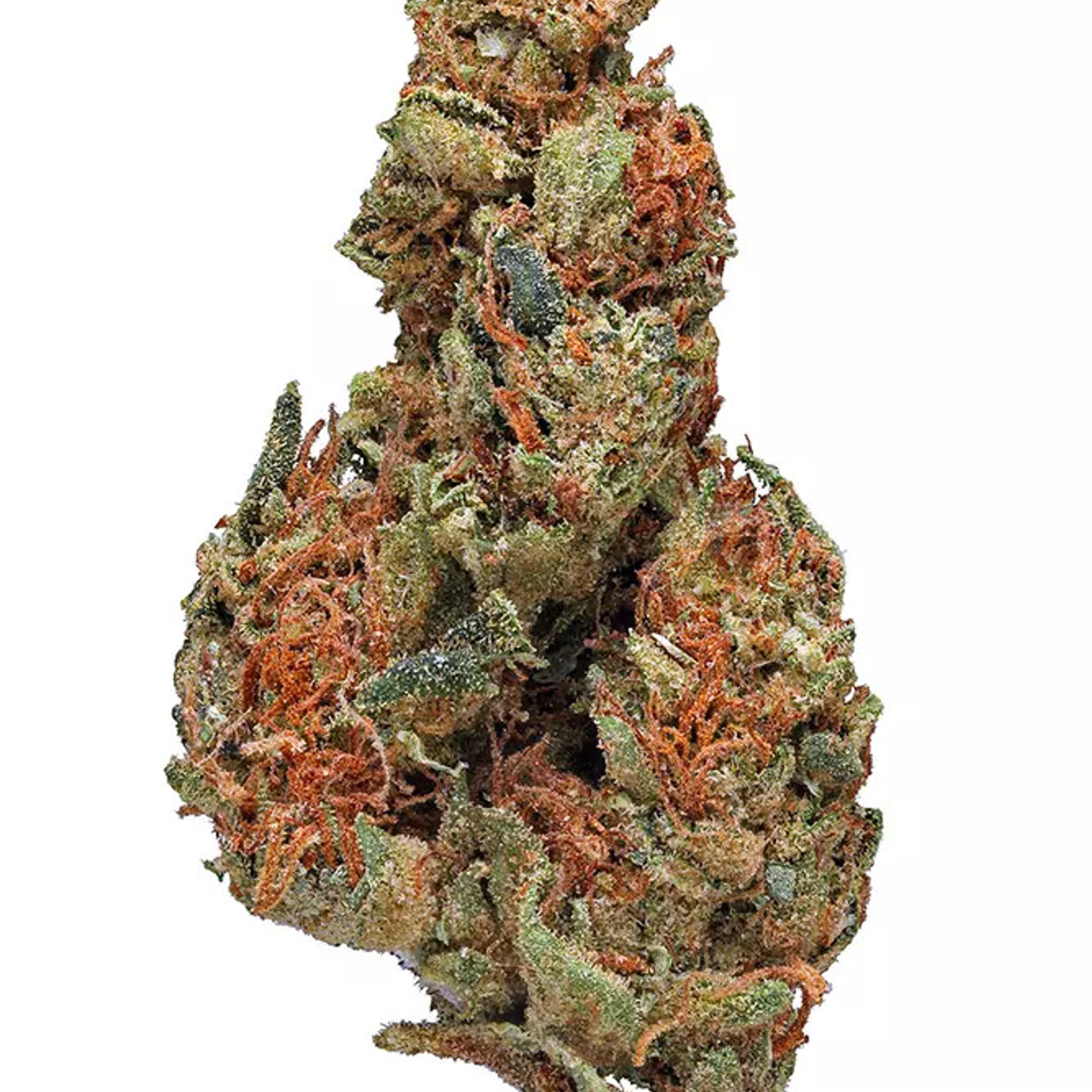 Panama Red - UpNorth - Eighth - $50 - Flowers