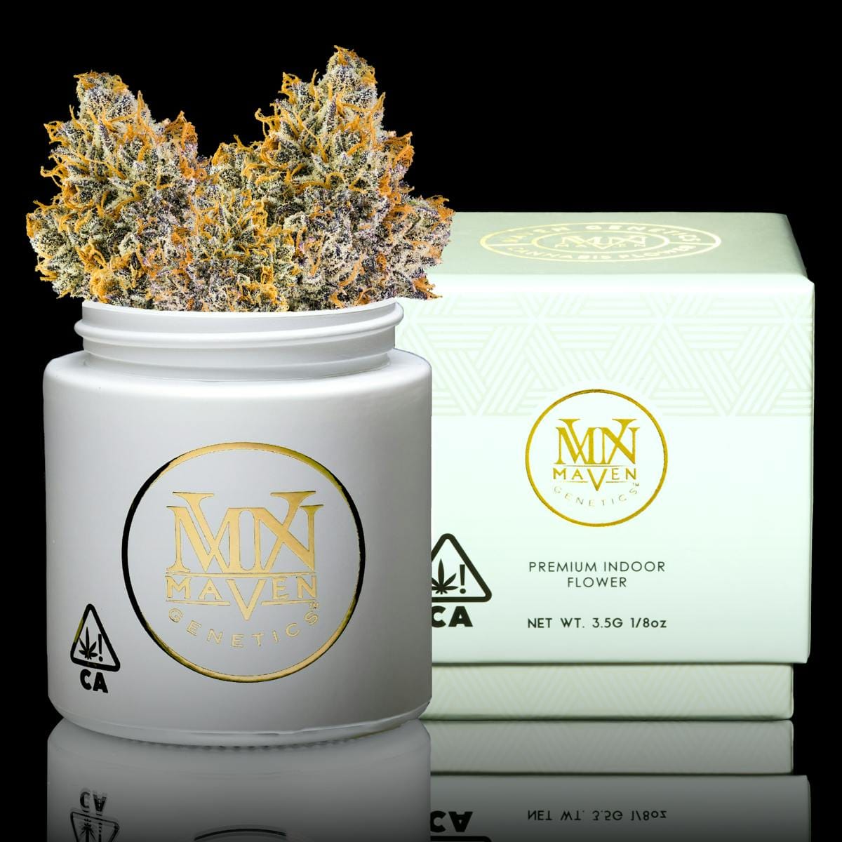 Maven Genetics: Orange Bellini