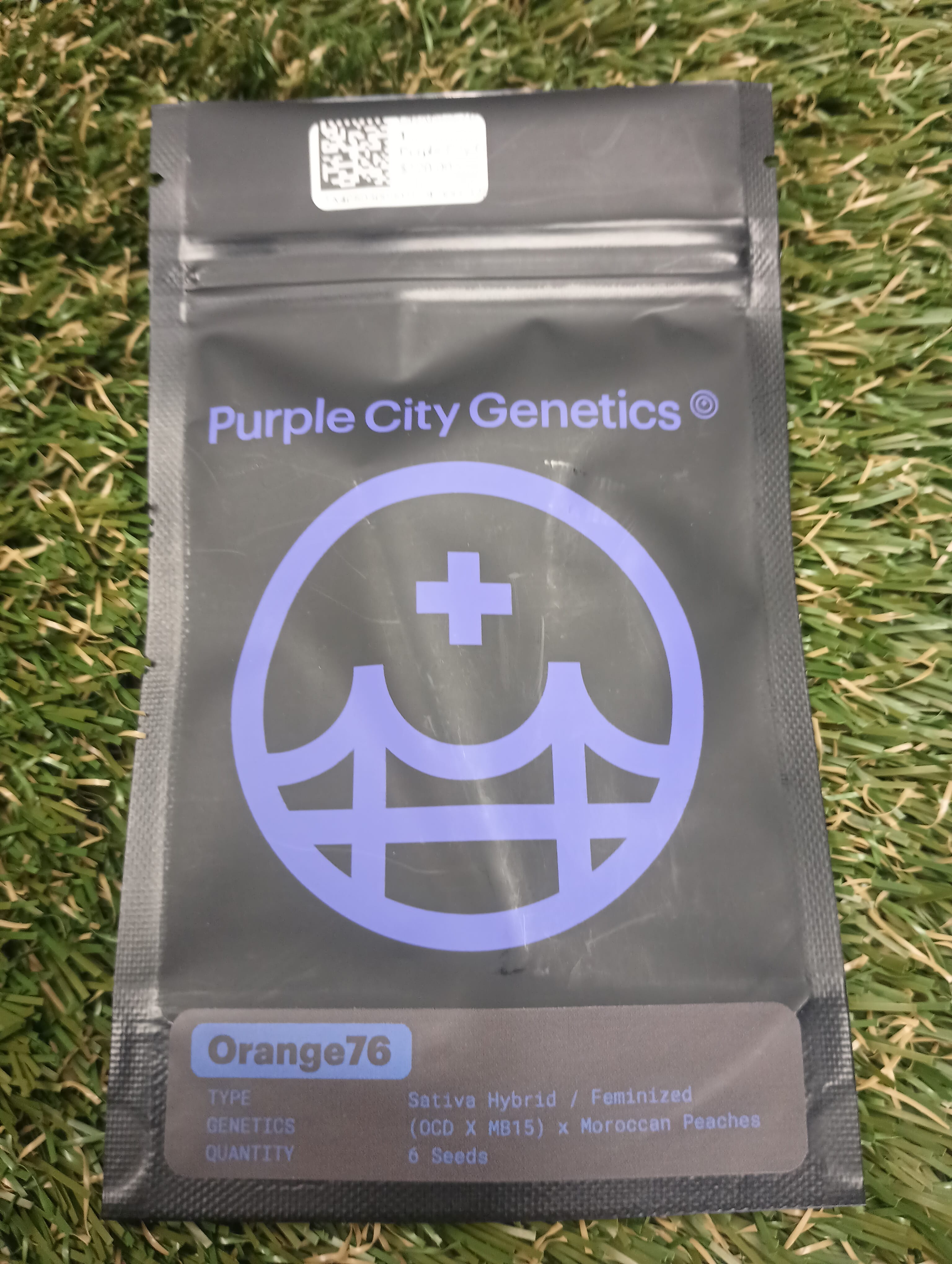 ORANGE76 6PK FEMINIZED SEEDS - Purple City Genetics -  - $120 - Seeds (each)
