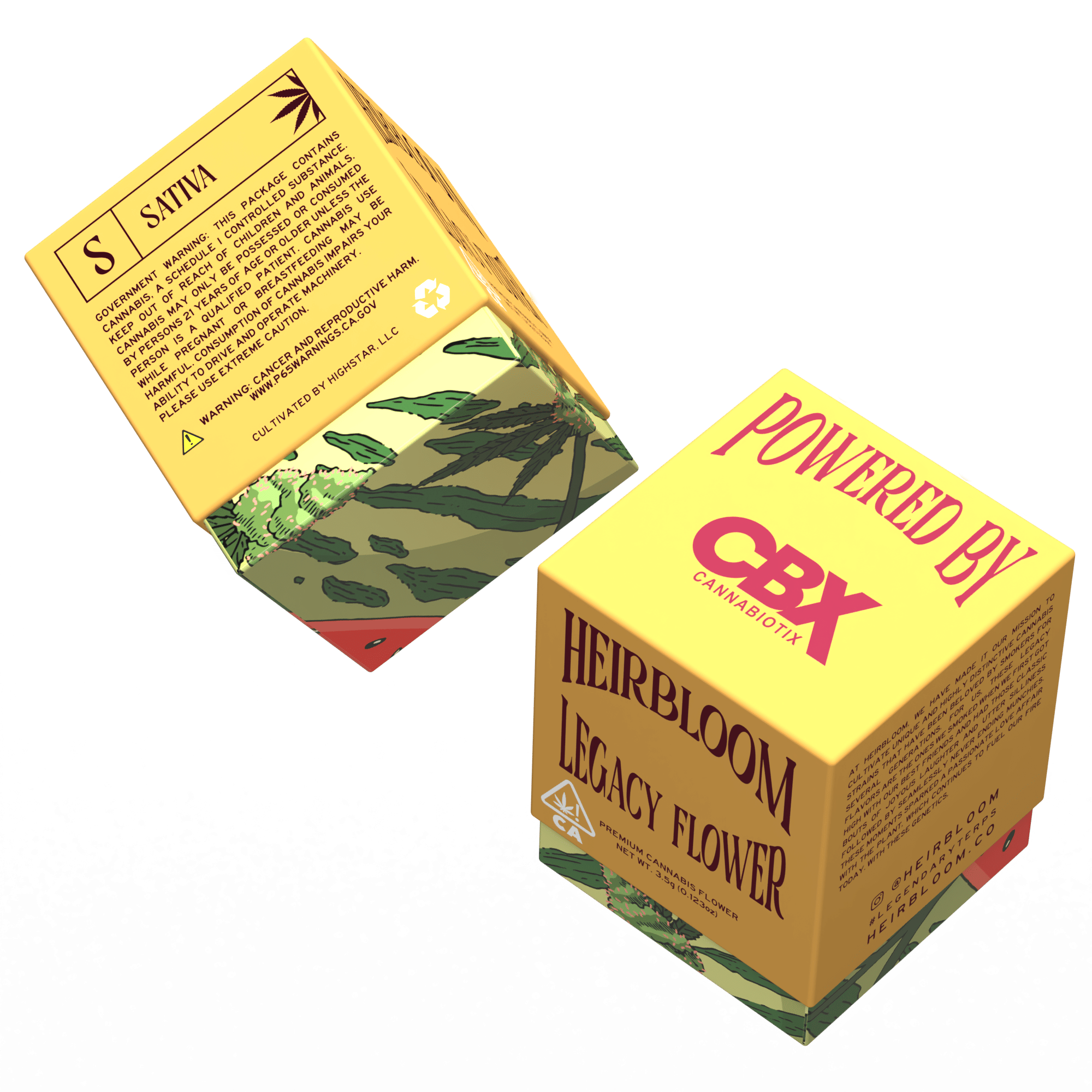 Heirbloom Legacy Flower — Watermelon