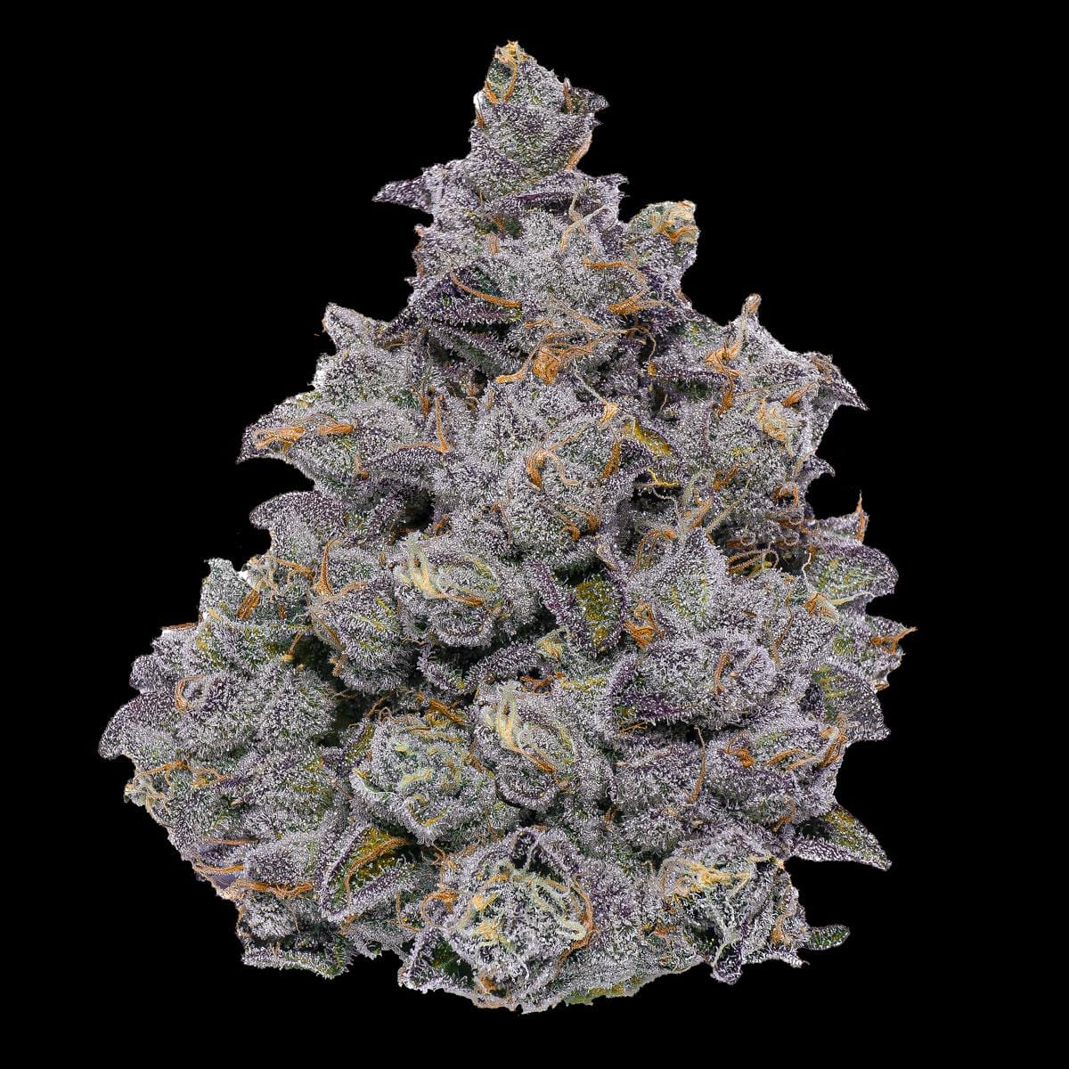 FIG FARMS - Animal Face (H) - 3.5g Premium Indoor - Fig Farms - Jar - $50 - Flower