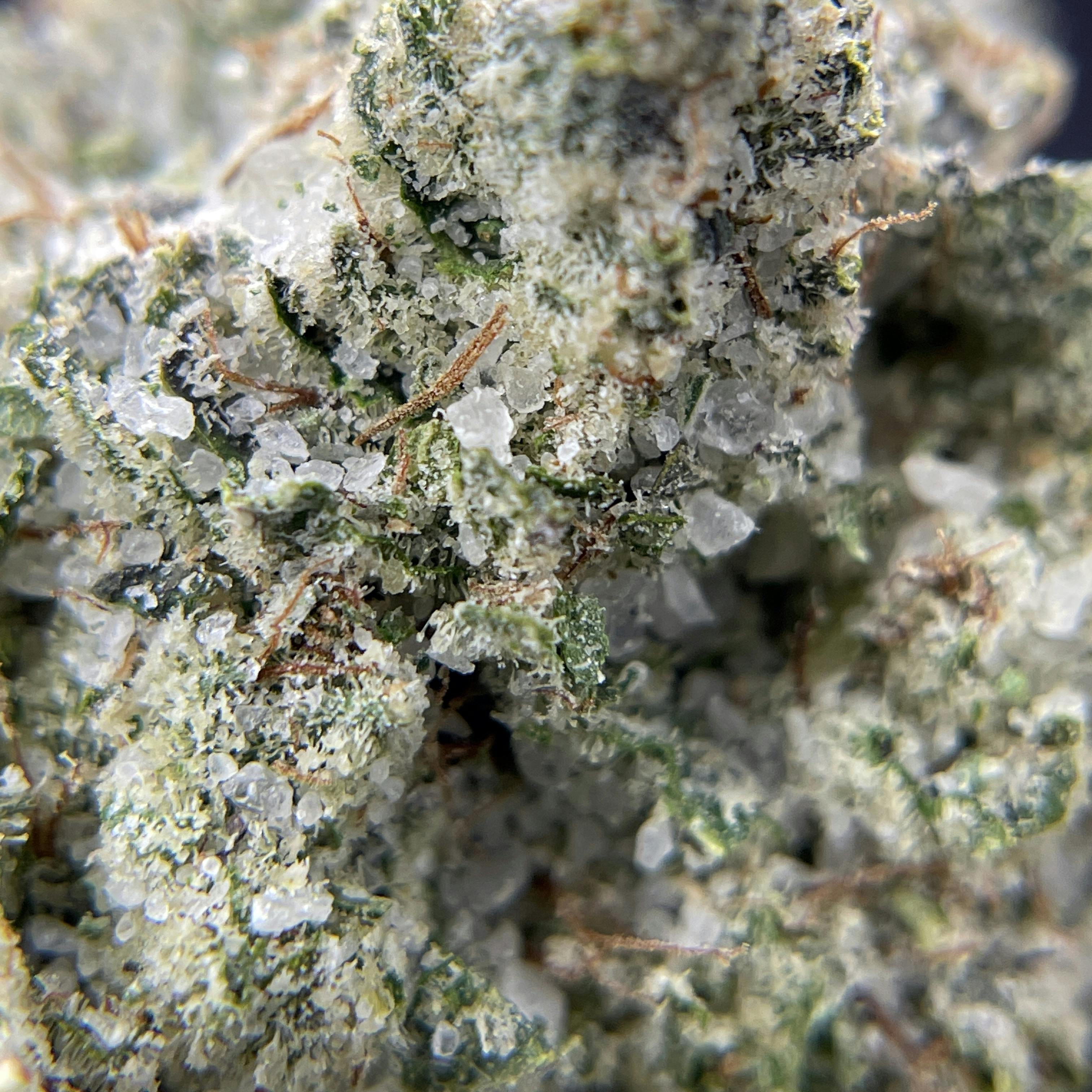 Black Pearl — GG4