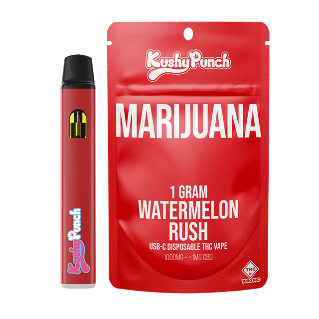 1G Watermelon Rush AIO Vape