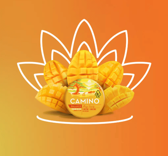 CAMINO: Mango Serenity