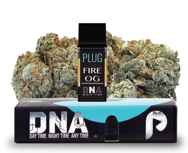 PlugPlay — Dna: Fire OG