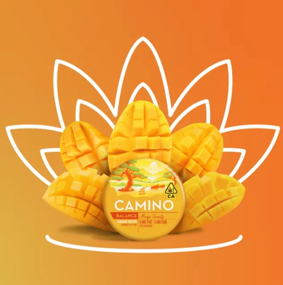 Camino Mango Serenity "Balance" 1:1 Gummies - 100mg THC + 100mg CBD - Camino by Kiva -  - $22.50 - Edibles