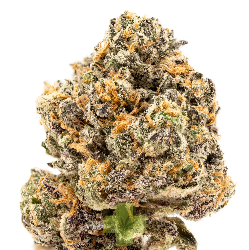 SEED JUNKY: Zebra Ztripez
