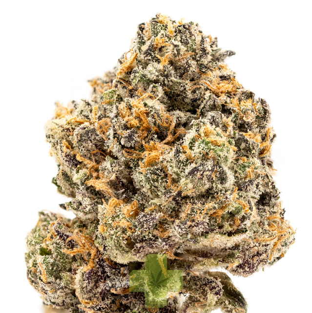 SEED JUNKY: Zebra Ztripez