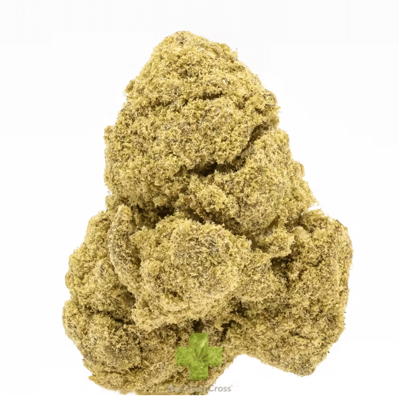 Presidential: Two Gram