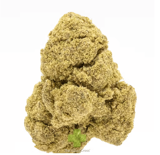 Presidential: Two Gram
