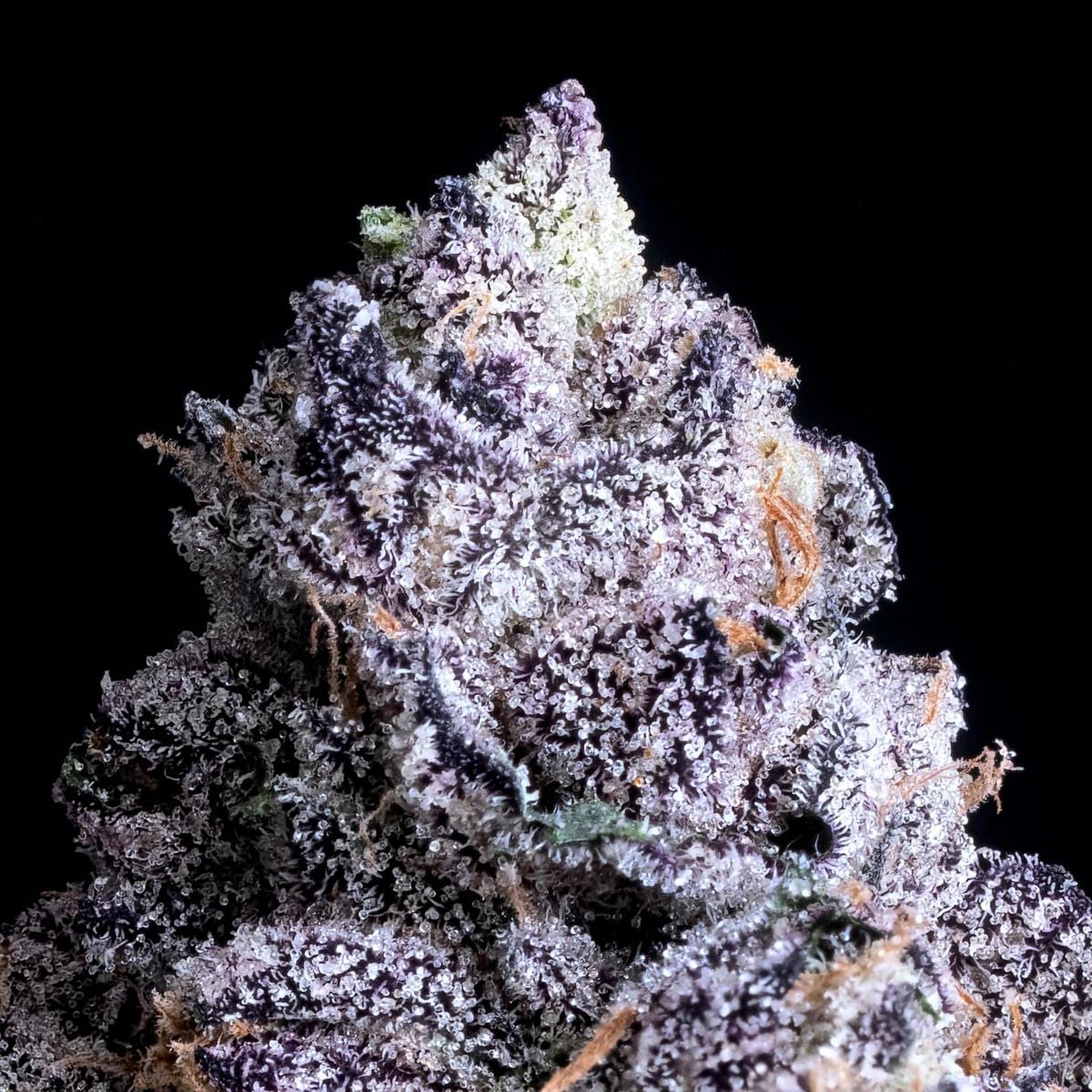 Prizm Gold Blend Cartridge [1g] - Maven Genetics -  - $18 - Vapes