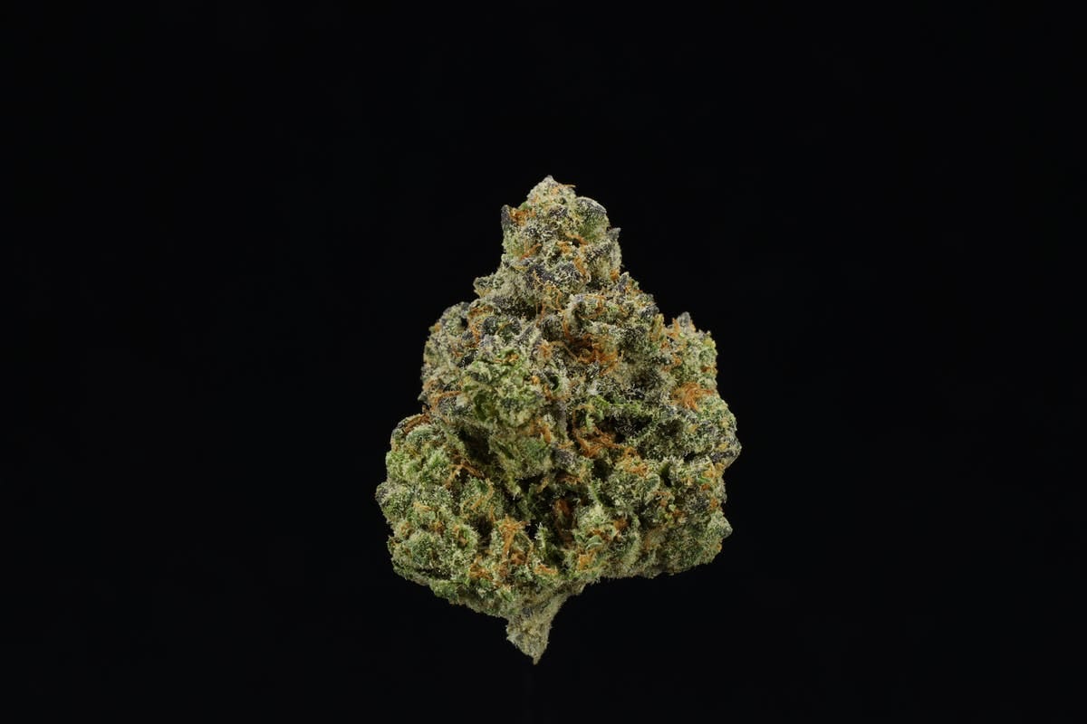 Florida Oranges - Jar - Indoor Flower - UpNorth - Eighth - $49.99 - Flower