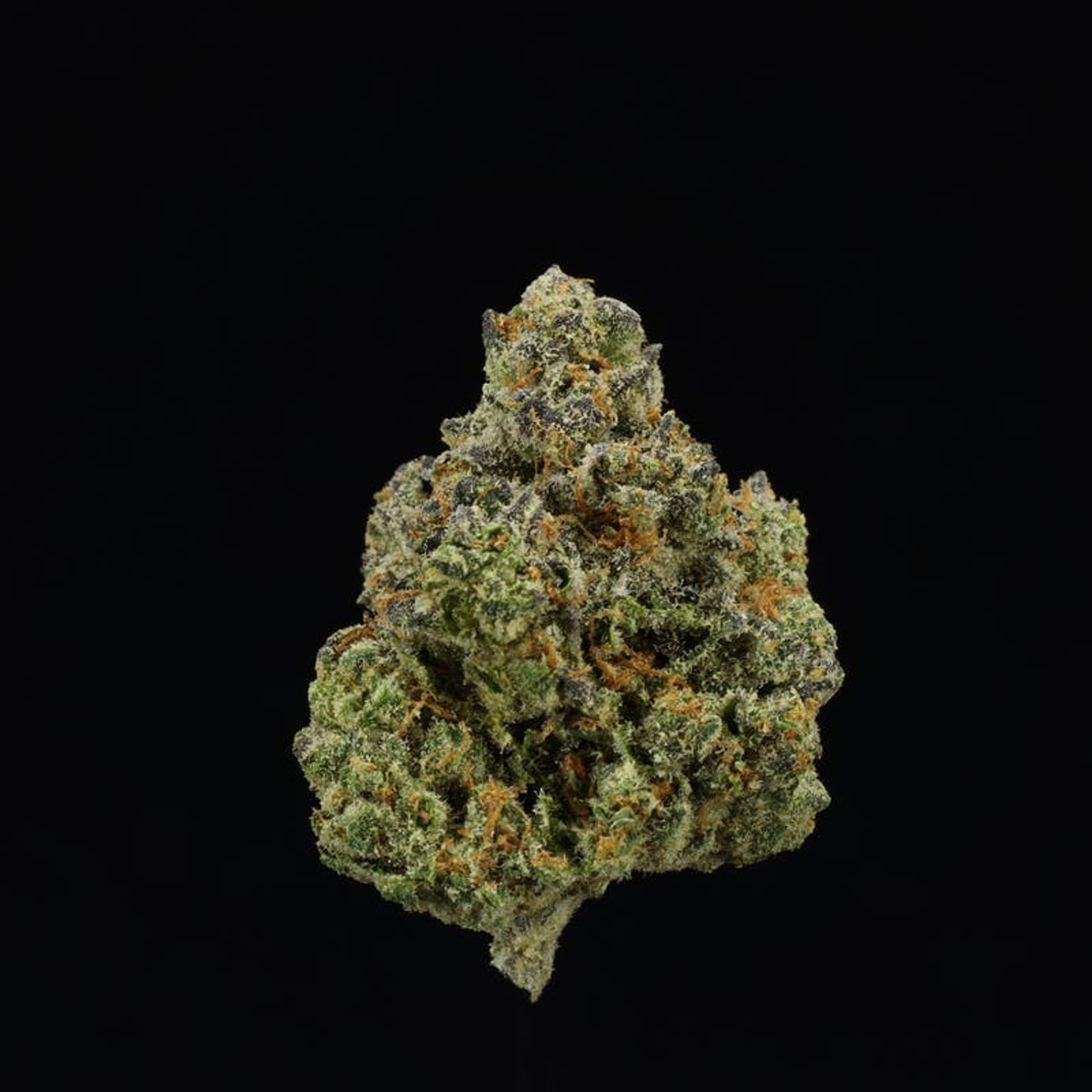 Florida Oranges - Jar - Indoor Flower - UpNorth - Eighth - $49.99 - Flower