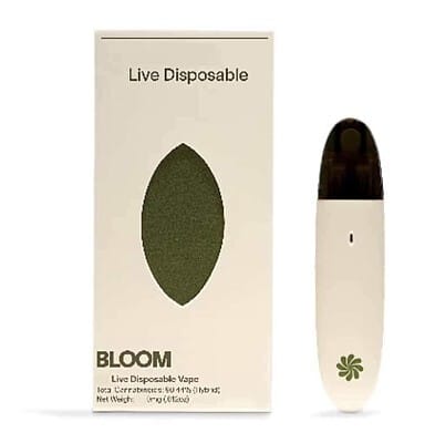 BLOOM — Pineapple Diesel Surf