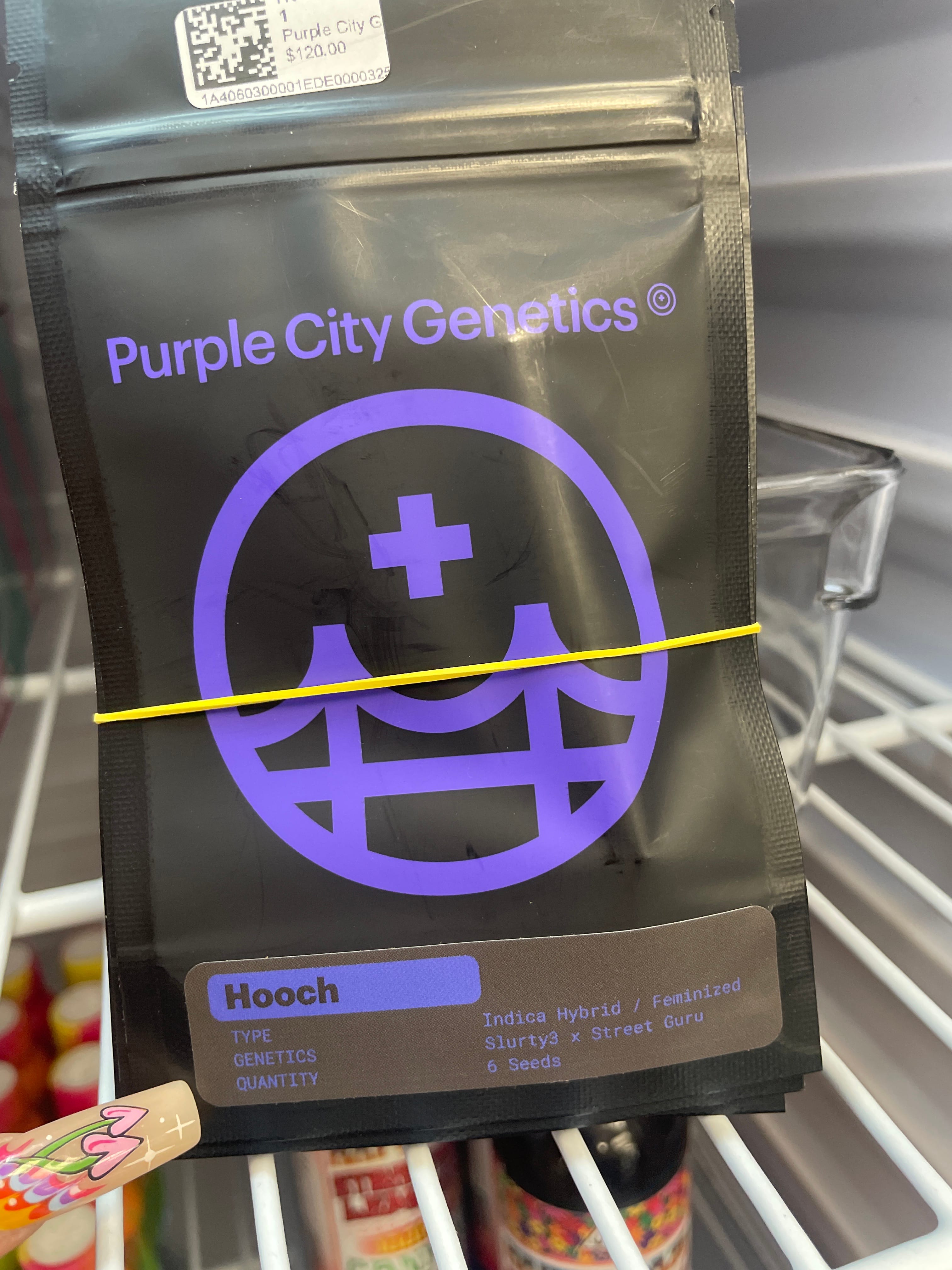 HOOCH 6PK FEMINIZED SEEDS - Purple City Genetics -  - $120 - Seeds (each)