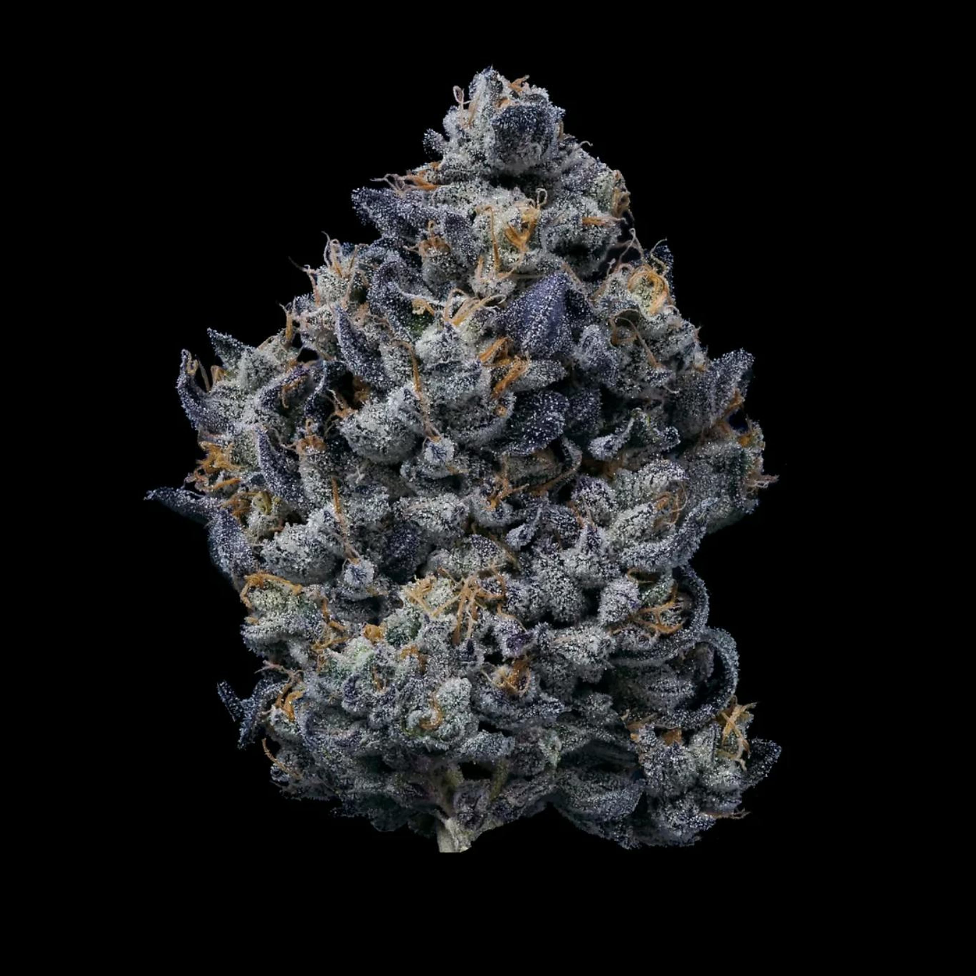 Lemon Cherry Gelato - Jar - Indoor Flower - Fig Farms - Eighth - $49.99 - Flower