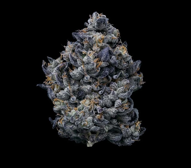 Lemon Cherry Gelato | 3.5g