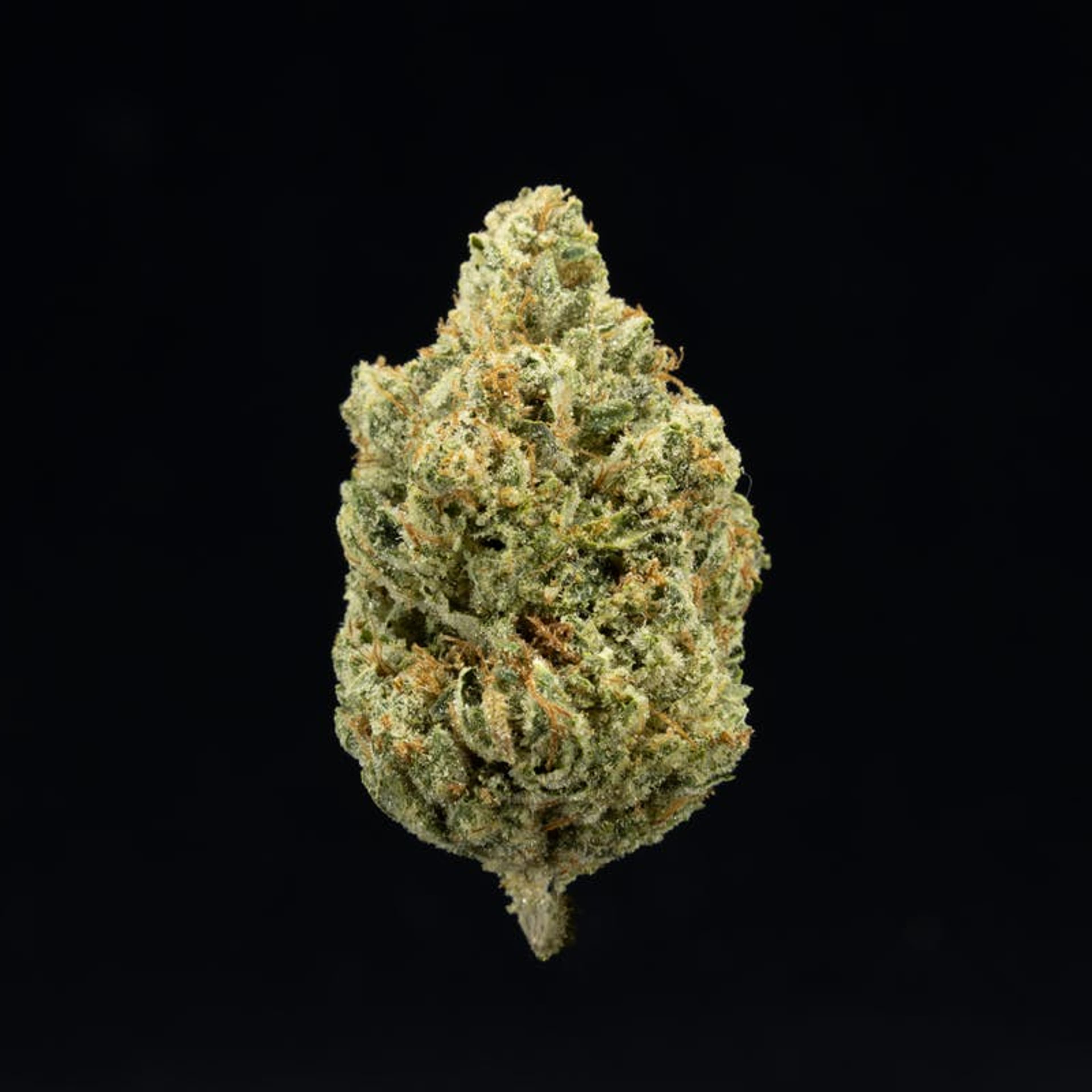 Up North: Headband (OG Kush x Sour Diesel) - 3.5g - UpNorth - - $50 - Flower