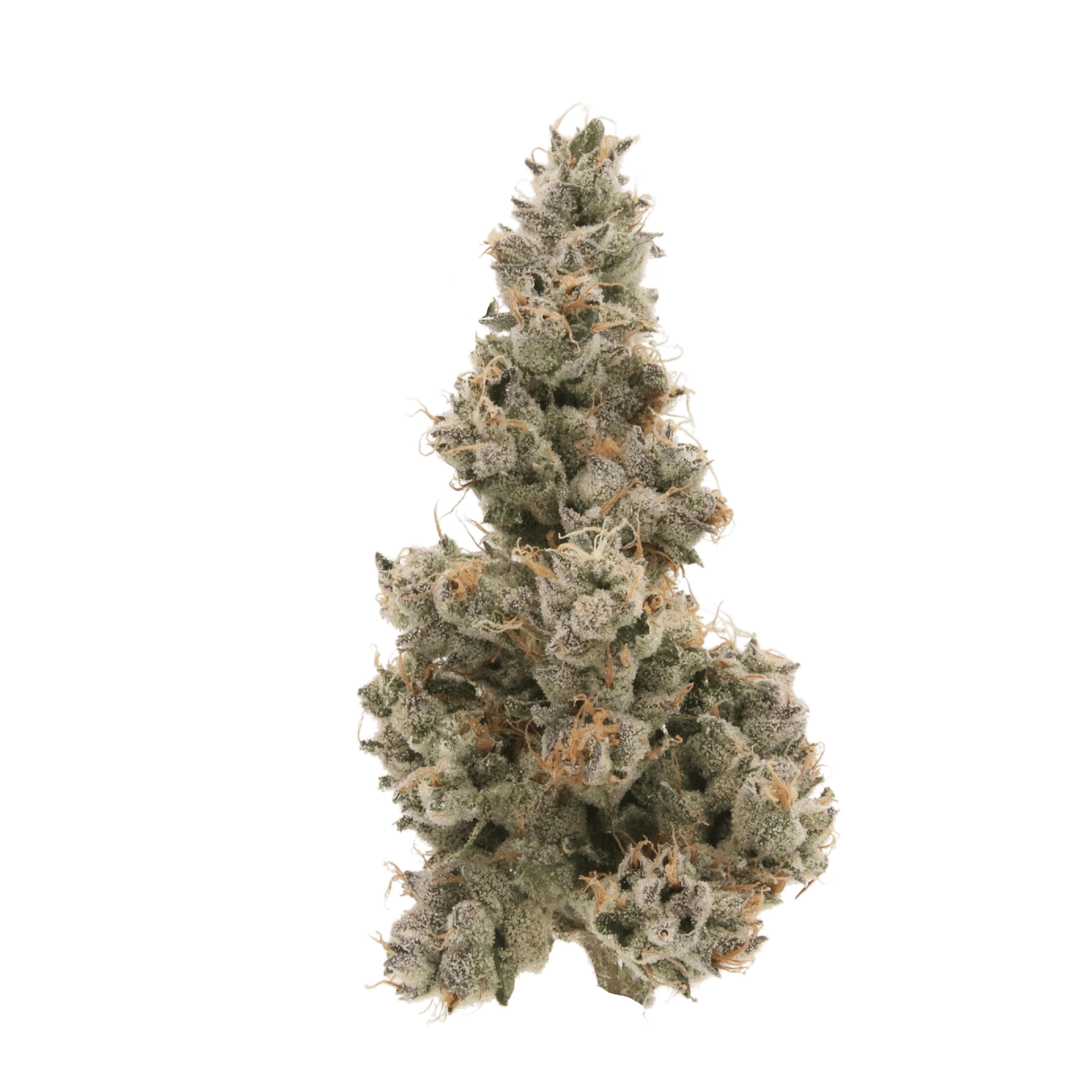 Sense: Sour Diesel