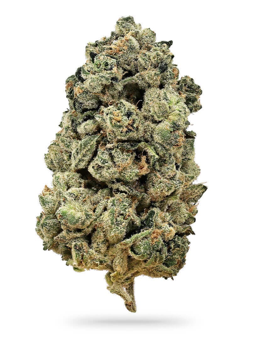 ALPACA CLUB - Phat Burger (I/H) - Premium Indoor - Alpaca Bowl 4 U - 3.5g Pouch - $35 - Flower