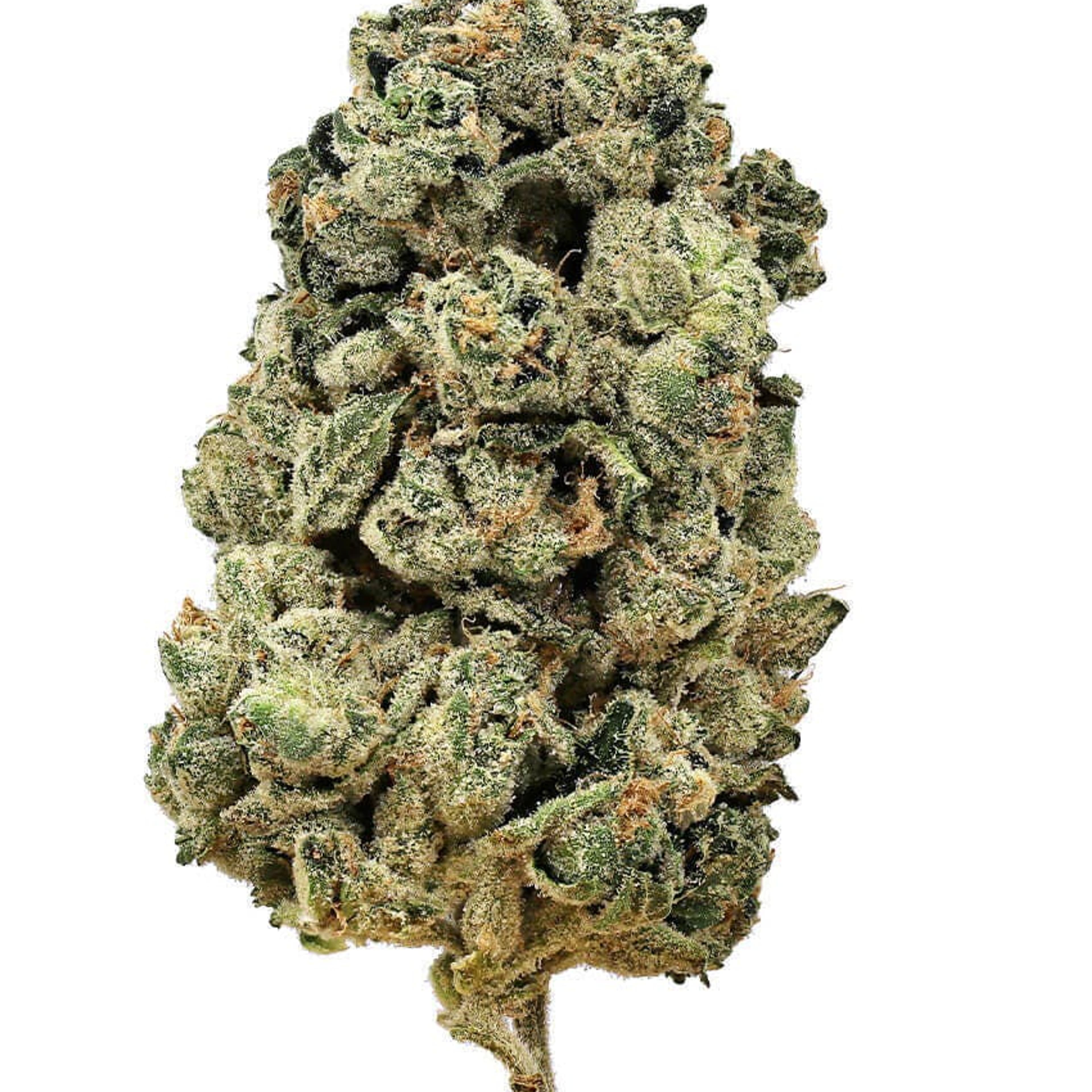 ALPACA CLUB - Phat Burger (I/H) - Premium Indoor - Alpaca Bowl 4 U - 3.5g Pouch - $35 - Flower