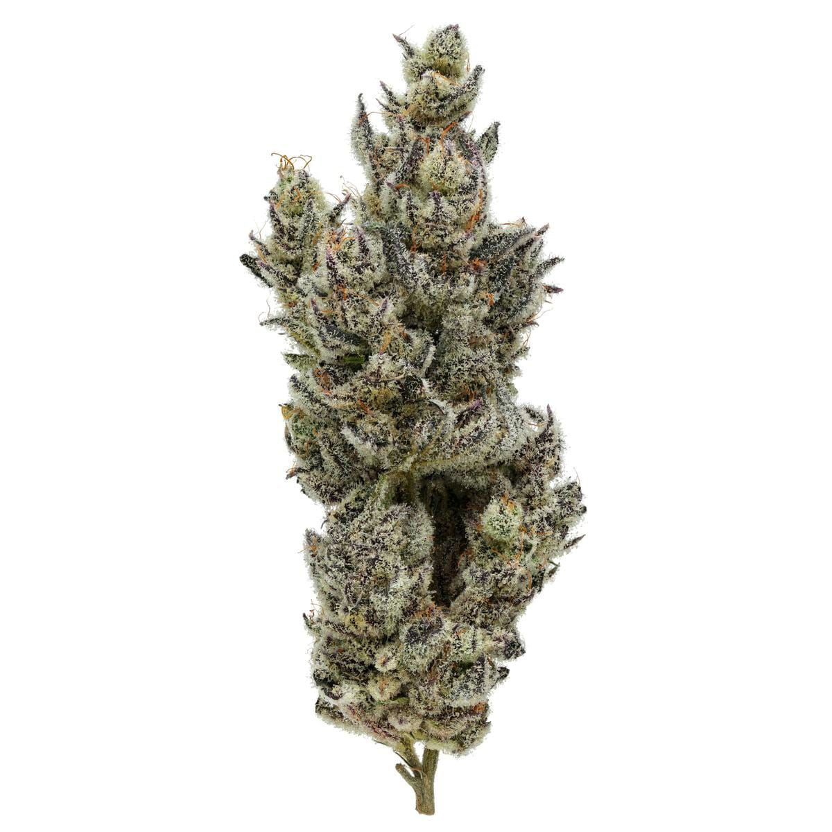 Holy Cow! 31% - 3.5G - Fig Farms - Holy Cow! (H) - $47 - Flower