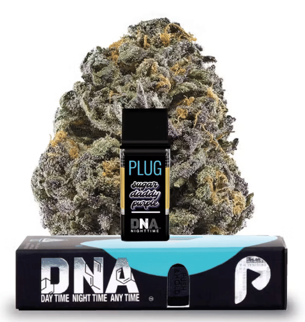 PlugPlay — Dna: Daddy Purple