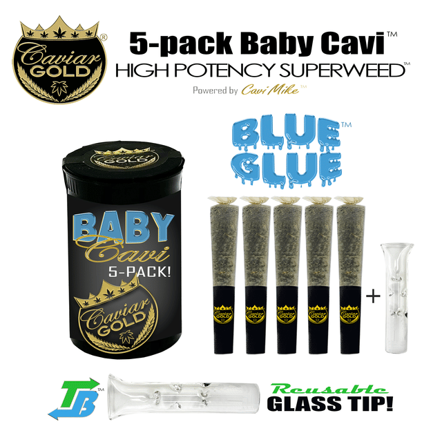 Caviar Gold: Blue Glue - . Baby Cavi
