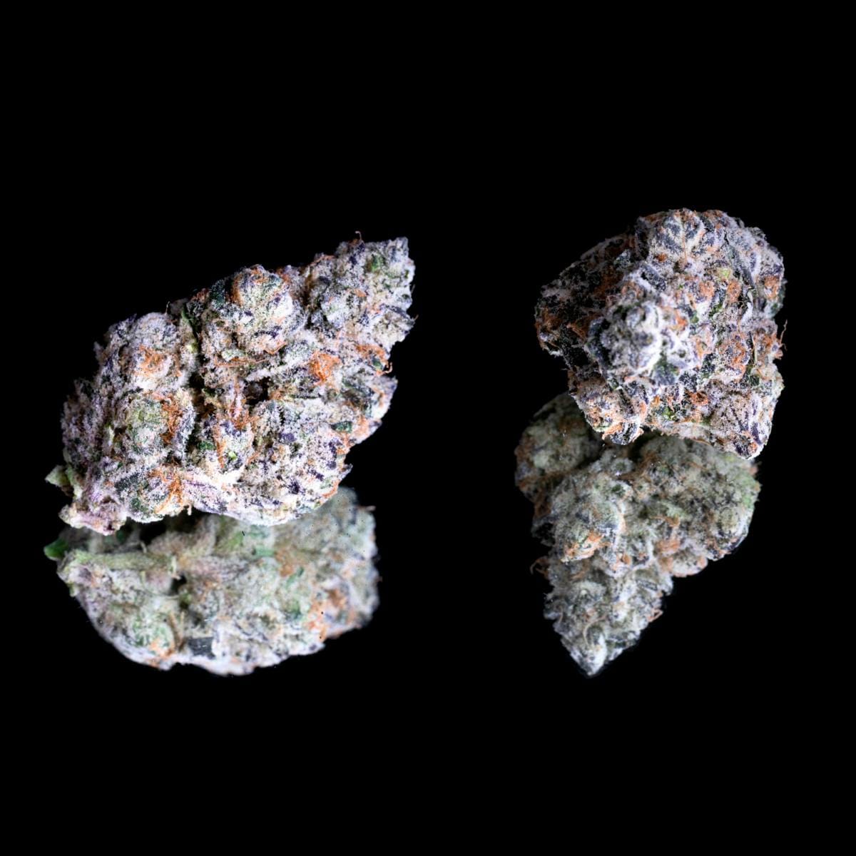 Shangri-La Gold Blend Cartridge [1g] - Maven Genetics -  - $18 - Vapes