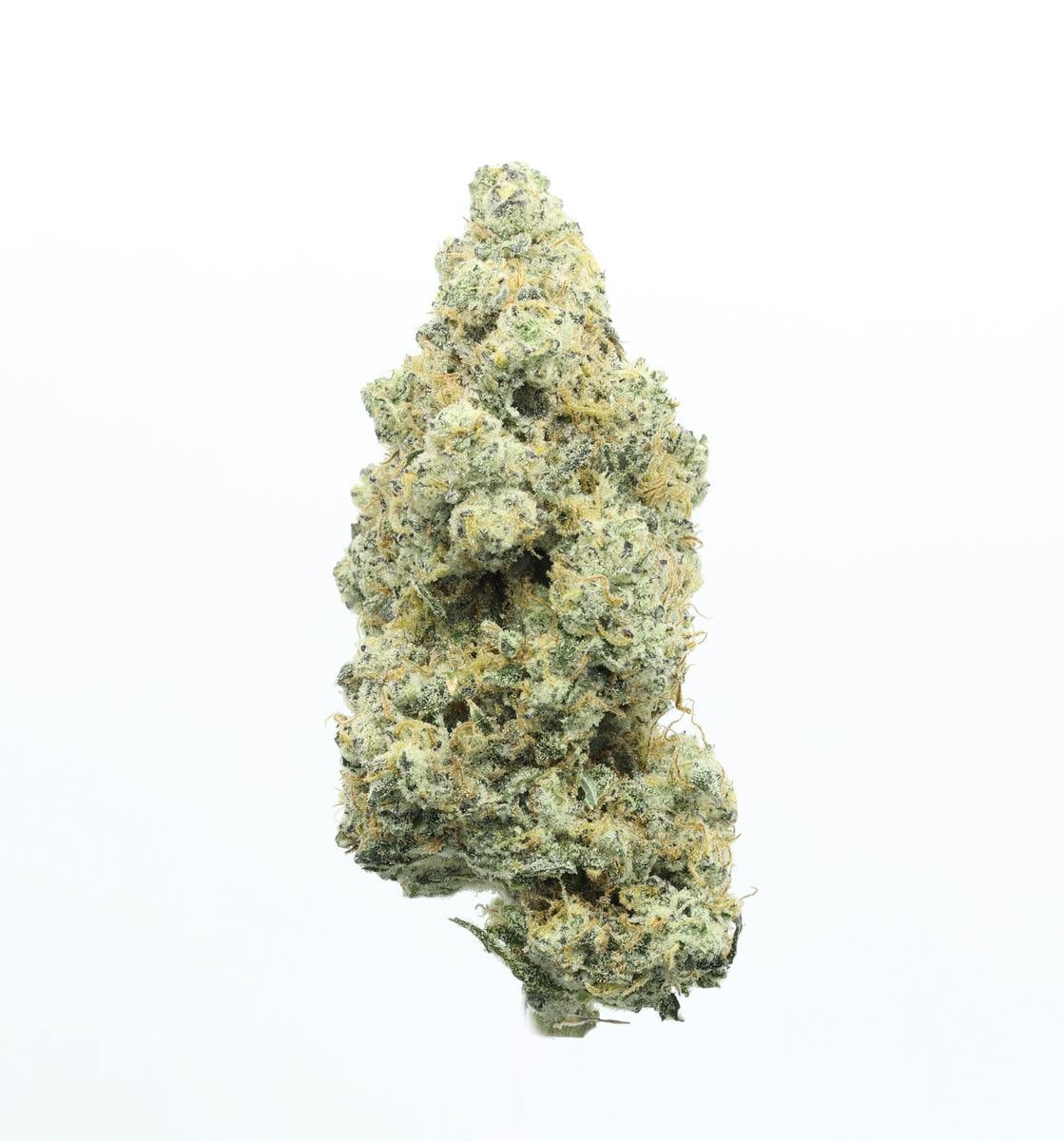 UpNorth: Platinum Afghani