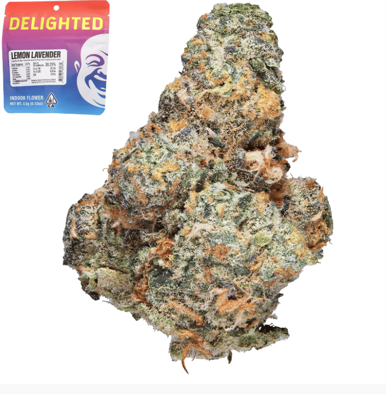 Delighted — Lemon Lavender Flw