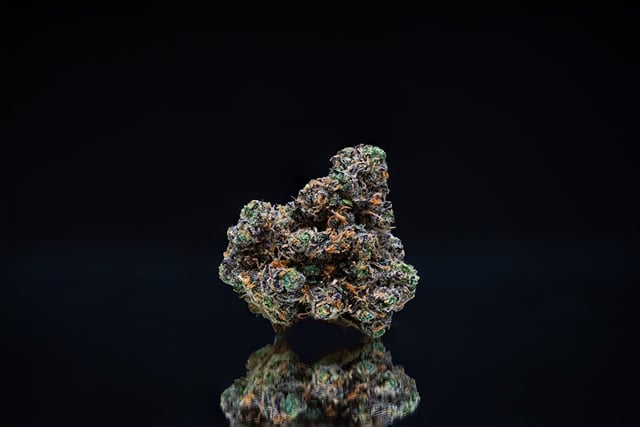 Sour Runtz | 3.5g