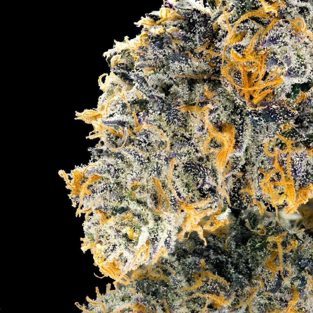 Blue Agape Pre-Roll 5-Pack [2.5g] - Maven Genetics -  - $21.61 - Pre-Rolls