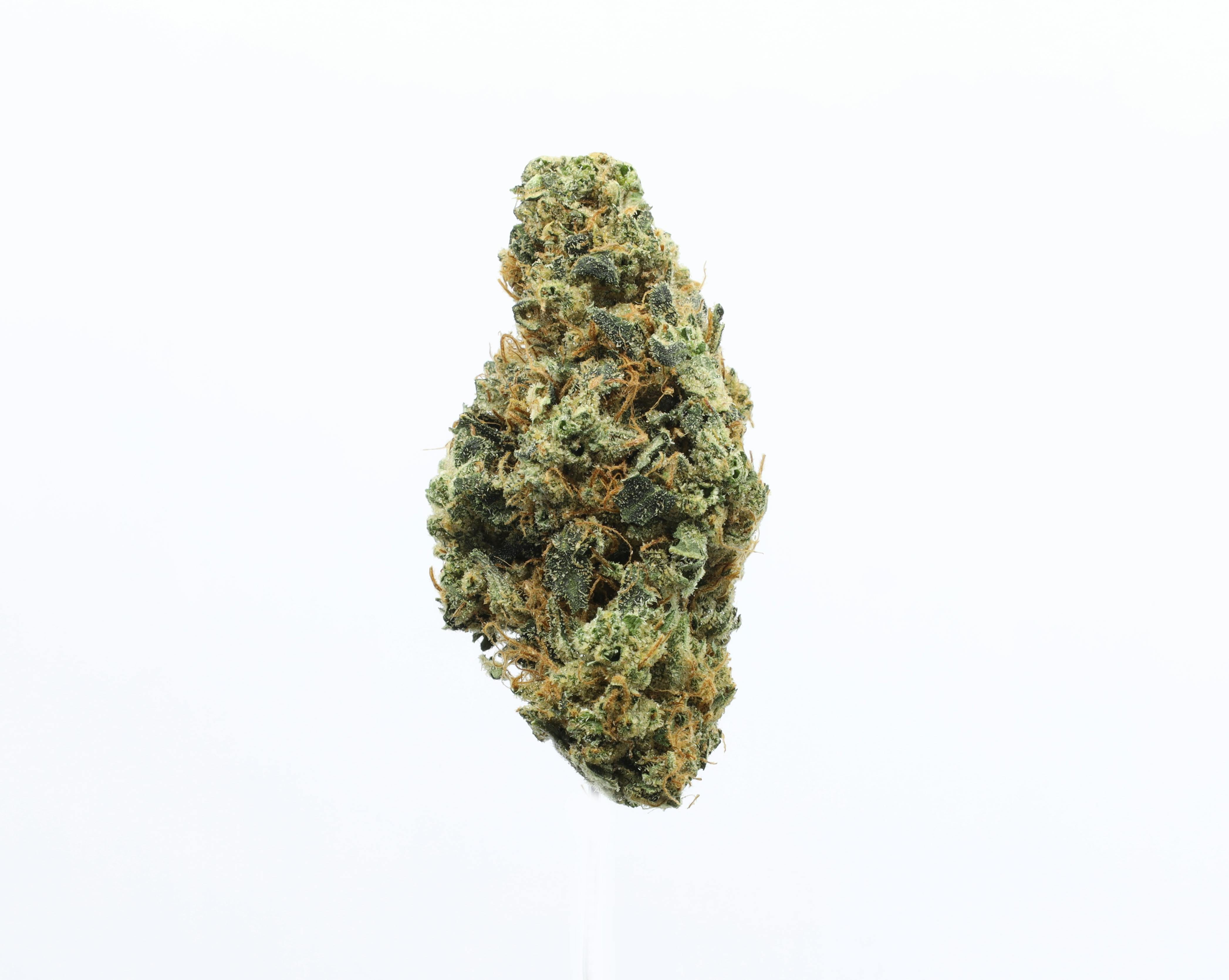 Panama Red - 3.5g - UpNorth -  - $50 - Flower