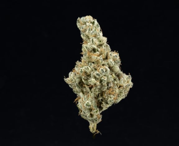 PLATINUM AFGHANI 1/8 | UPNORTH