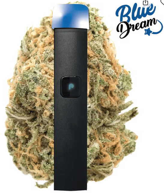 PlugPlay — Blue Dream