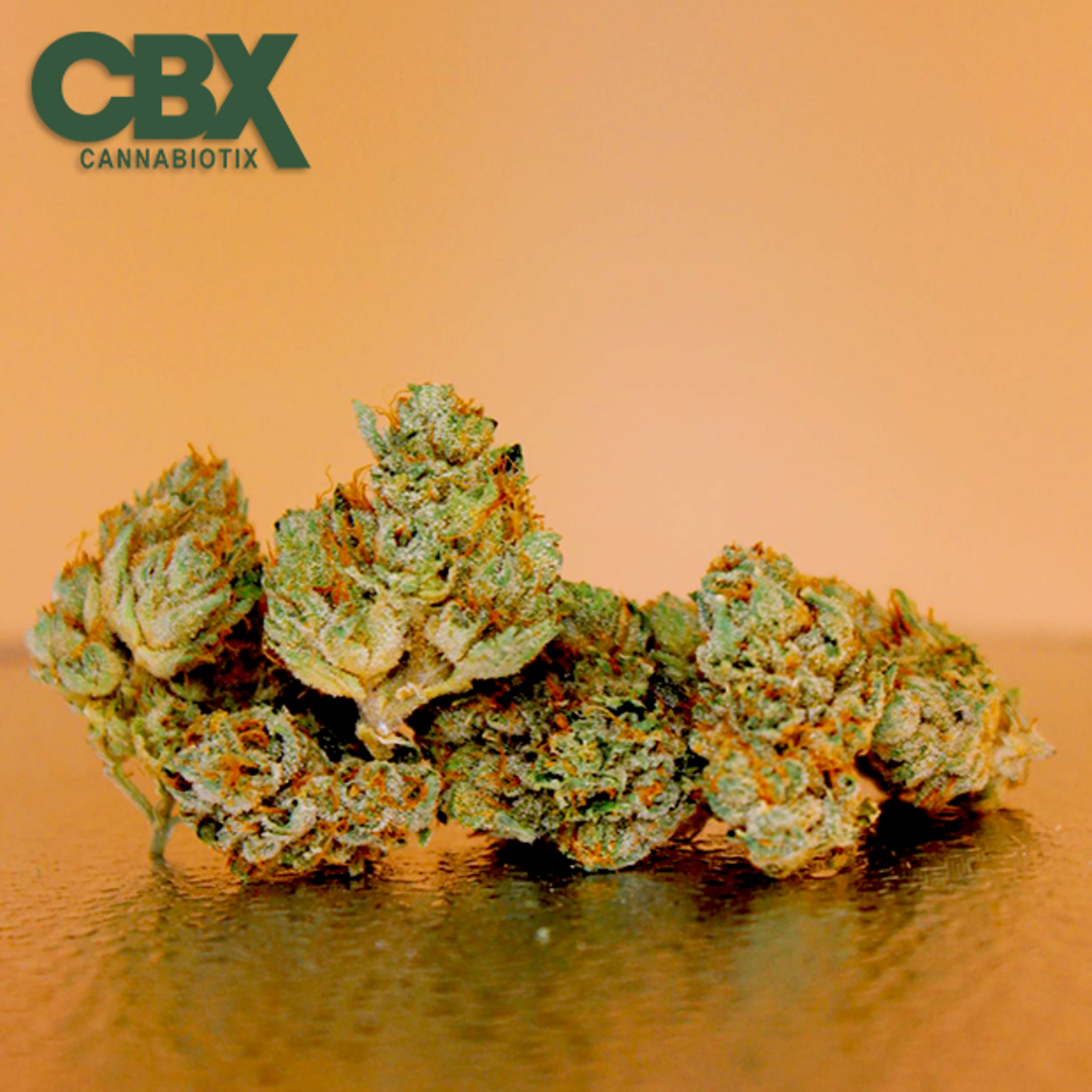 Cannabiotix - White Walker OG - 3.5g - Cannabiotix - - $49.98 - Indoor Flowers
