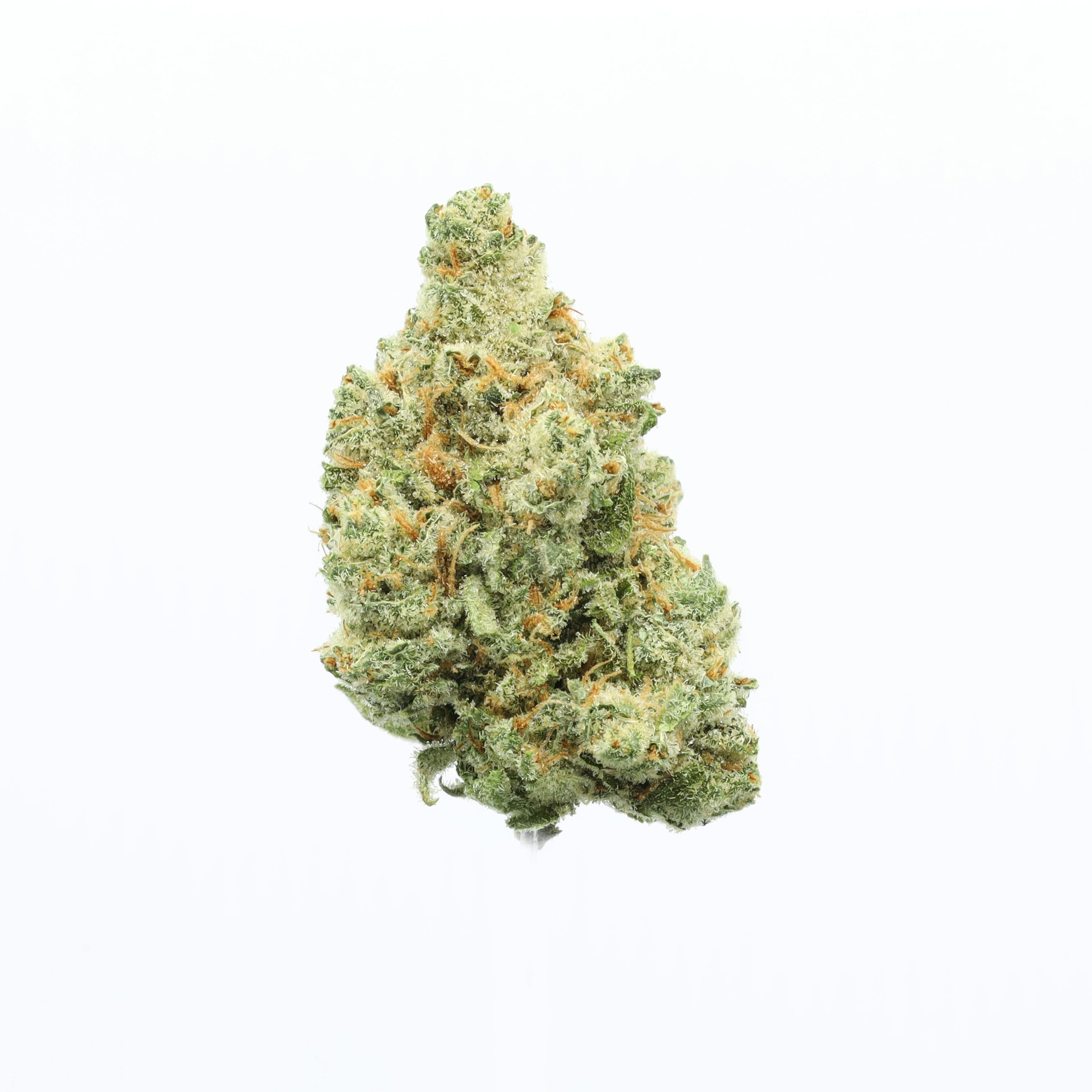 Brazilian Haze 35% - 3.5G - Upnorth - Brazilian Haze (S) - $45 - Flower