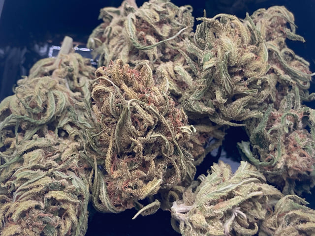 Blue Skunk - 7.5g
