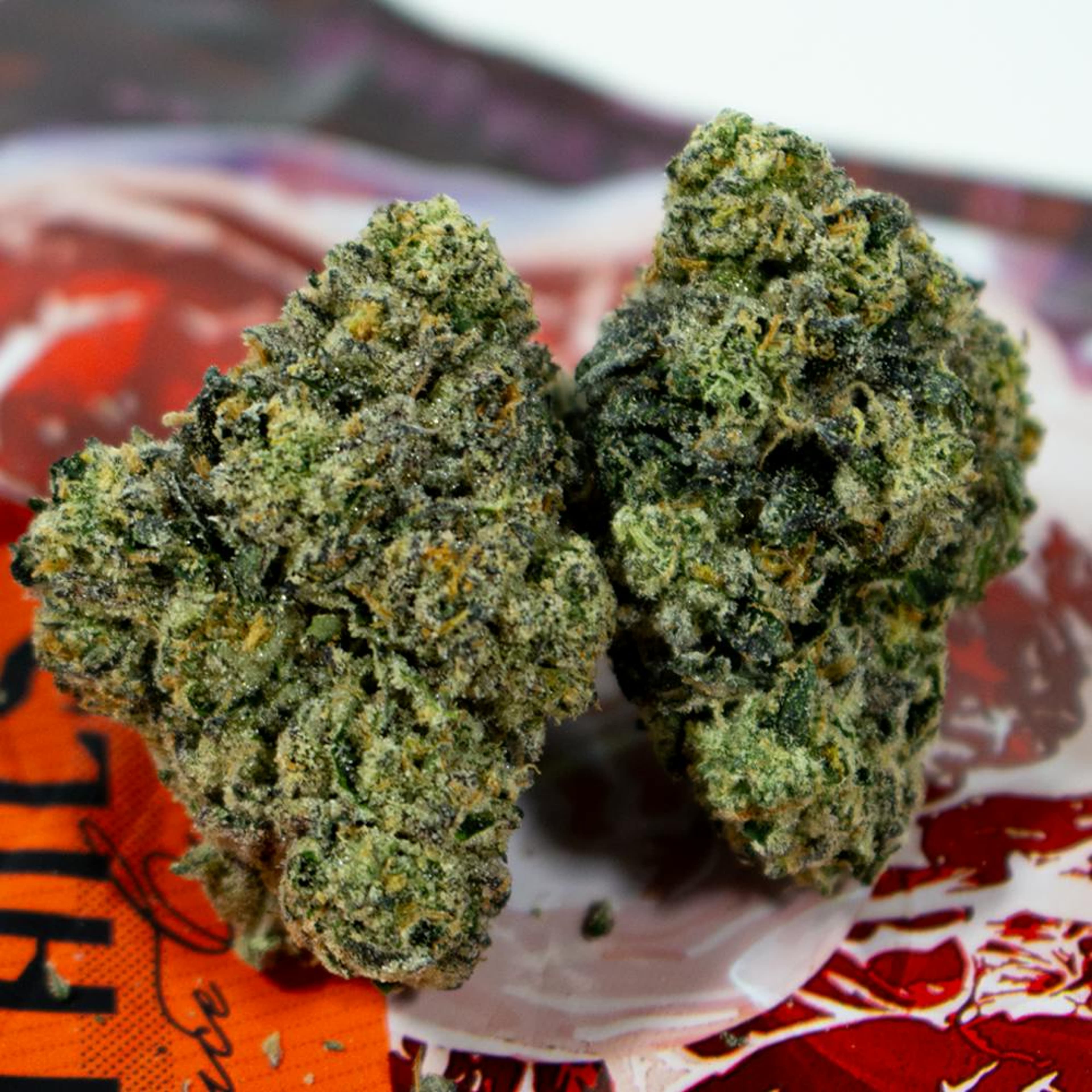 Oxtails 31% - 3.5G *SPECIAL PRICING* - Teds Budz - Oxtails (H) - $55 - Exotic Eighths - Buy 8 Mix & Match get 13.5% Off PLUS $.01 Punch T1 Rosin