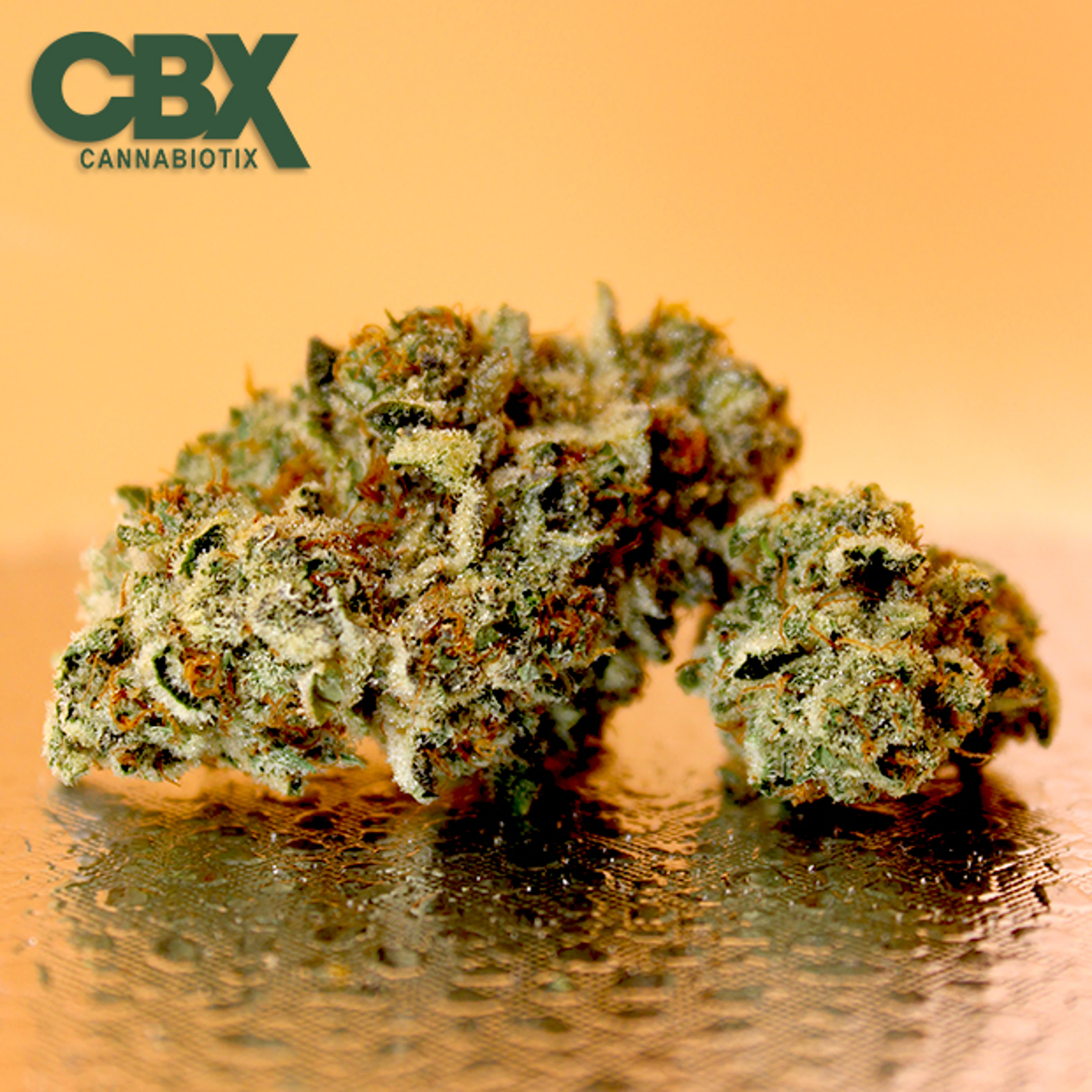Cannabiotix - Cereal Milk - 3.5g - Cannabiotix - - $49.98 - Indoor Flowers